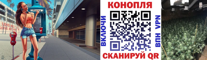 Купить где  Кола  Канабис ГИДРОПОН 